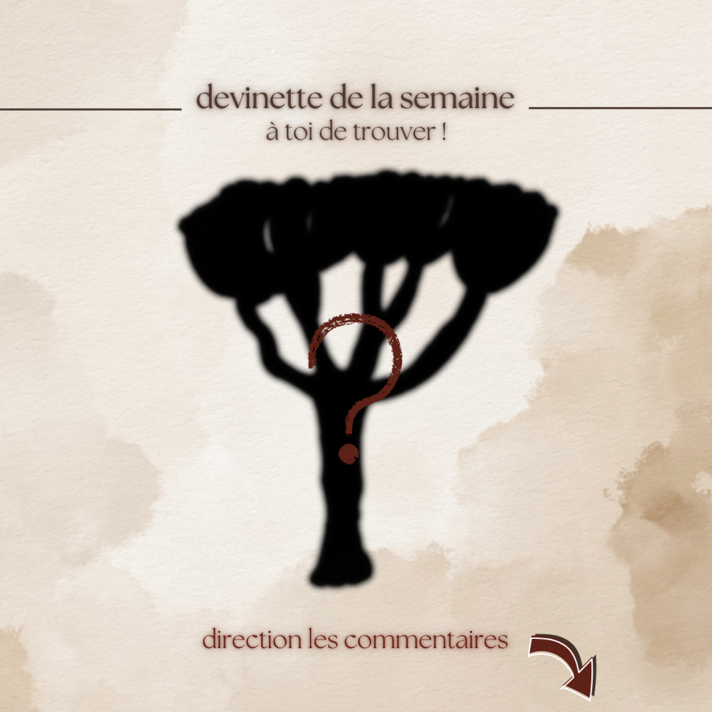 🔍 Devinette de la semaine
À ton avis… qu’est-ce qui se cache derrière cette silhouette ? 🤔
⬇️ Donne ta réponse en commentaire et défie tes amis de deviner !
La réponse sera révélée vendredi !😏🌟