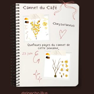 ☕ Cette semaine, le Café a avancé une page à la fois.
Entre les recherches pour l'Herbier, les croquis, les notes griffonnées sur le bureau et les moments partagés en stream, j'ai surtout pris le temps de construire doucement ce qui est déjà en cours. 🌿
Pas de grande annonce cette fois-ci, mais beaucoup de petits pas qui comptent.
Et puis, comme toujours, Minoushka a veillé au bon déroulement des siestes de l'atelier. 🐾🤎
Merci de feuilleter ce Carnet du Café avec moi.
#CarnetDuCafe #Illustration #Herbier #CozyArt #ArtJournal